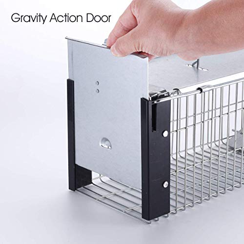 Faicuk Heavy Duty Squirrel Trap Chipmunk Trap and Other Similar-Size Rodents - 16" x 6" x 6" - Thumbnail 2