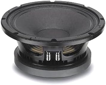 6 inch 18 sound speaker