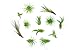 Air Plant Variety Pack (24) Small Tillandsia Terrarium Kit - Assorted Species of Live Tillandsia - 2 to 5 Inch Each for Home Decor - Plants for Pets