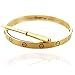 Love Bracelet Stainless Steel Cuff Bangle Titanium Steel Screws Womens Bracelet (Gold, 16.00)