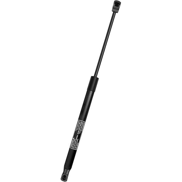 Amazon.com: 1pc Tailgate Lift Support Rear Right Passenger Side  