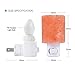 SMAGREHO Natural Himalayan Salt Lamp Night Light Crystal Salt Lamp Hand Carved Wall Light Used for Lighting, Decoration and Air Purifying, UL-Approved Plug