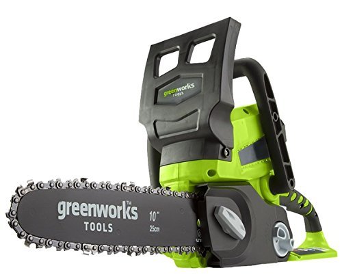 voir Greenworks 2000007 24V sur Amazon