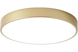 Wheatronic LED Ceiling Light Flush Mount Gold, 24W Kitchen Light Fixture Ceiling Mount Dimmable, 12 inch Close to Ceiling Light Fixture 5CCT for Bedroom, Bathroom, Living Room