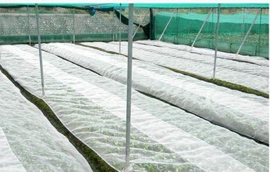 Ez4garden White Mosquito Netting Bug Insect Barrier Bird Net Tent Protect Plants Flower Fruit Trees Hunting Blind Garden Netting4'x25'