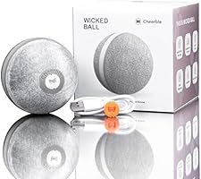 wicked ball kickstarter