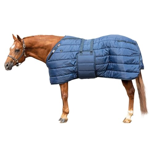 Schneiders V-Free Stable Blanket