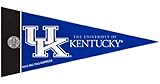 NCAA 8 Piece Mini Pennant Set