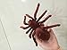 Remote Control Infrared Realistic RC Spider Toy Fuzzy Crawler 2CH RTR Prank RC Toys /Robot Animal Toys
