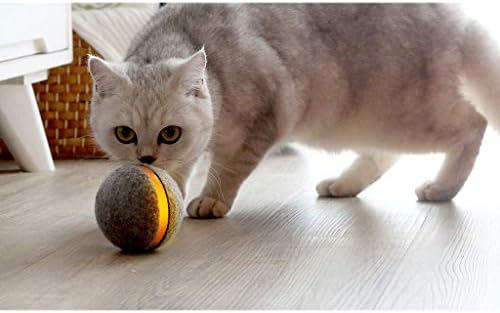 kickstarter cat ball
