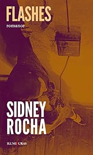 Livro Flashes: romance