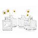 CHIVE ‘Loft’ Small Mini Flower Vases - Clear Glass Bud Vases, Set of 10 - Cute Vintage Rustic Centerpieces for Wedding, Events & Home - Premium Quality, Designed to Last