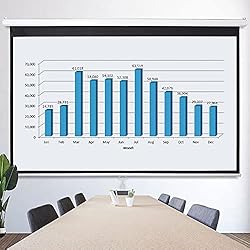 ZENY Projector Screen Pull Down 100 Inch 16:9 HD