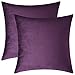Mixhug Set of 2 Cozy Velvet Square Decorative Throw Pillow Covers for Couch and Bed, Purple, 18 x 18 Inches