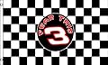 3'x5' "FEAR THIS" #3 Dale Earnhardt Checkered Flag