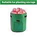 X L MAGNET Potato Grow Bags 2-Pack 7 Gallon Planter Pots Garden Bags to Grow Vegetables with Aeration Fabric Flap Handles and Window for Harvesting Fruit Flower Potato Carrot (Green & Brown)thumb 2