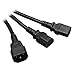Tripp Lite Computer Power Extension Cord Y Splitter Cable 10A, 18AWG (IEC-320-C14 to 2x IEC-320-C13) 6-ft.(P004-006-2C13),Black