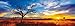 SCHMIDT Dessert Oak at Sunset by Mark Gray Panoramic Puzzle (1000-Piece)