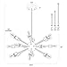 Light Society Sputnik 18-Light Chandelier Pendant, Matte Black, Mid Century Modern Industrial Starburst-Style Lighting Fixture (LS-C115-BLK)