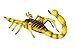 Safari Ltd  Hidden Kingdom Insects Scorpion