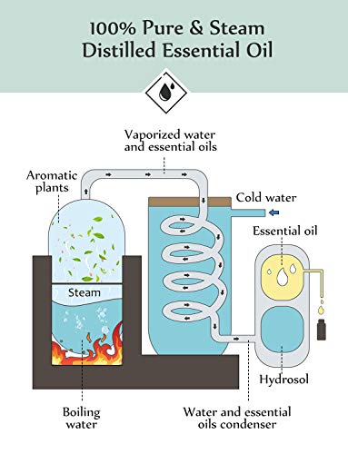 Diffuser with Essential Oils Included, 500ml Aromatherapy Diffuser with Essential Oil Set 6x10mL, Super Quiet Essential… - Image 2