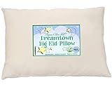 Dreamtown Kids Large Size Kids Pillow (Big Kid Pillow Recommended for Ages 6-8) with a Soft Organic Cotton Shell 16x22 (13x19 After Filled), Made in USA