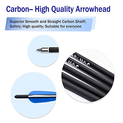 WDLHQC Arrows Archery Practice Hunting Arrows with Removable Tips(12Pcs/Pack) (Blue, 21)