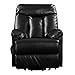 Domesis Renu Leather Power Lift Chair Recliner, Black