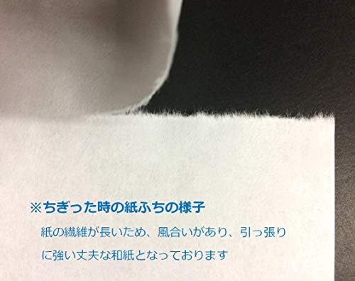 ペーパーエントランス 奉書 紙 コピー用紙 便箋 和紙 写経 プリンター用紙 謝辞 式辞 250枚 B0m13fsq 1 430円 大人気 New Arrival 最安値挑戦 年中無休 高品質 通販