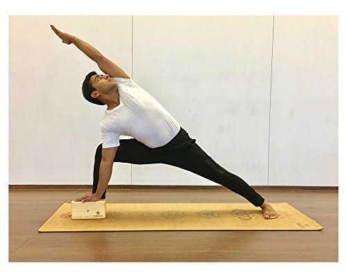 iyengar yoga blocks