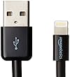 AmazonBasics Lightning Cable
