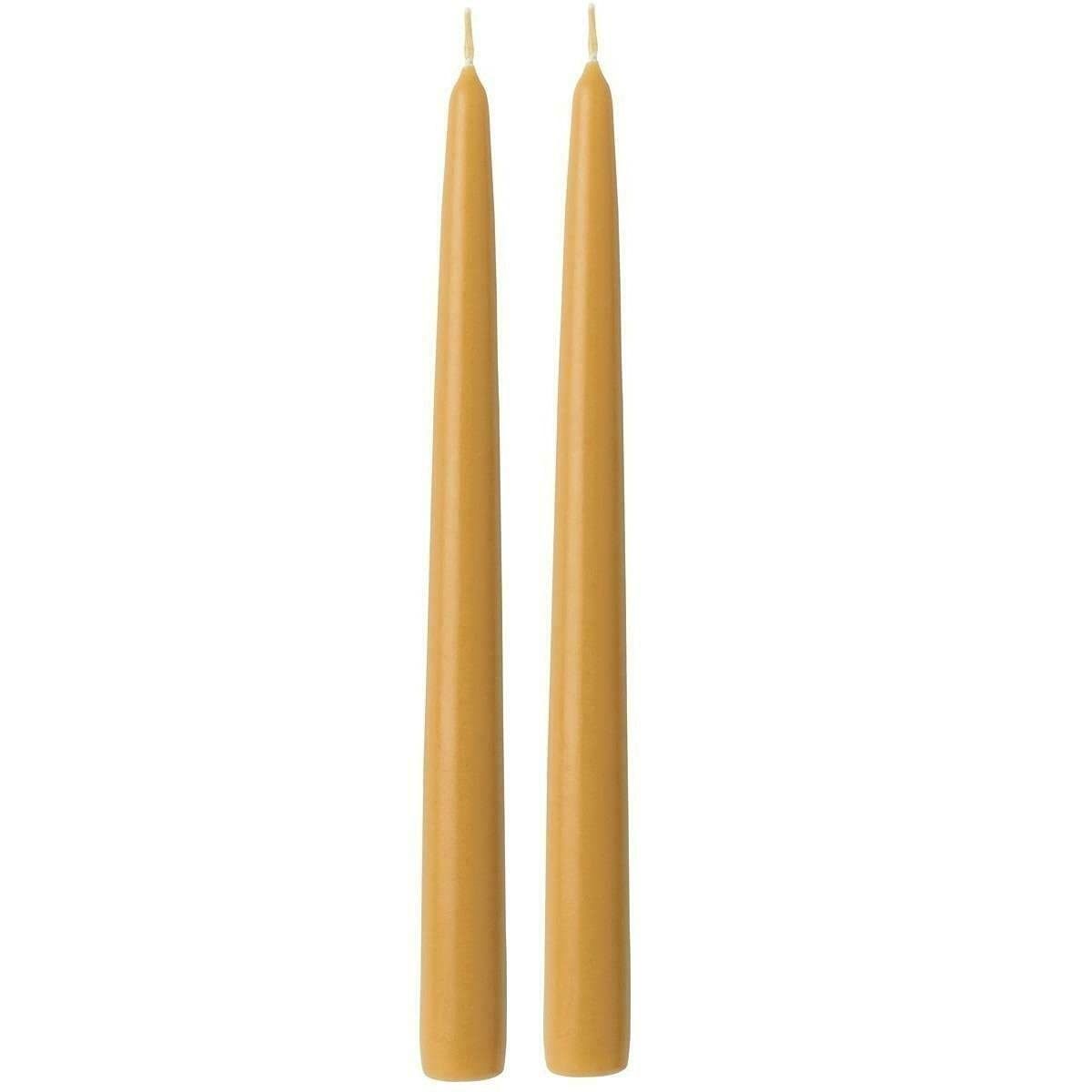 IHR Tapered Candle 24cm Solid Coloured - (Honey)