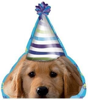 The DOG Puppy Pups wearing Party HAT 21' Happy Birthday Party Mylar Balloon