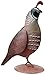 Regal Art & Gift Male Quail Decor - Handcrafted Southwest & Western Style Home Decor, Indoor/Outdoor Accent, Unique Bird Figurine, Nature-Inspired Quail Showpiece, No Assembly Needed