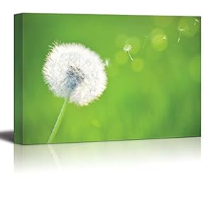 Canvas Prints Wall Art - Spring Dandelion on Green Natural Background - 12" x 18"