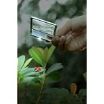 Levenhuk-Zeno-90-Compact-Fresnel-Lens--Pocket-Magnifer-with-LED-Illumination