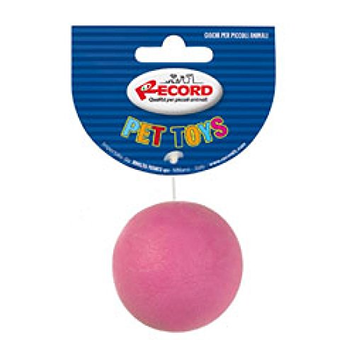 Record Perro de goma dura, juego de pelota: Amazon.es: Jardín