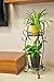 ZGstore Plant Stand, Metal Potted Plant Rack, Rustproof Decorative Flower Pot Rack Containers with Indoor Outdoor Iron Art Planter Holders Garden Bonsai Display Corner Display Standthumb 3