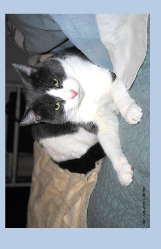 Cham 2016 Weekly Calendar: 2016 weekly engagement calendar with a cover photo of Cham from Ralphie's Retreat - A pawsitive alternative for cats with feline leukemia. (Cats of Ralphie's Retreat)