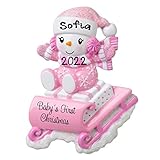 2021 New Snow-Baby on Sled Sleigh Personalized