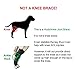 Dog ACL Brace for Torn acl Dog Hock Brace for Dog Ankle,Hock Joint Leg Brace for Dogs Relieve Pain from Operation/Arthritis,Comfortable Soft Canine Leg Joint Wrap Bandage Protects Wounds/Injury(L)