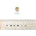 Efivs Arts 3200pcs Multicolor 6/0 4mm Seed Beads Mini Pony Beads Waist Beads for DIY Bracelets,Necklaces, Key Chains and Kid Jewelry Bead Box Kit,J002