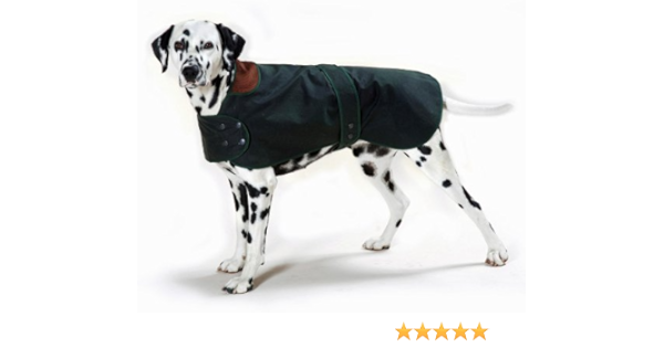 barbour dog coat amazon