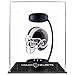 Pegasus Sports NFL Rotating Levitating Hover Helmet with LED Lighting, Los Angeles Rams