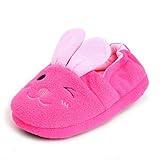 Beeliss Toddler Girls Slippers Cartoon Plush Warm Shoes (8-9 M US Toddler, Rose)