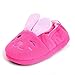 Beeliss Toddler Girls Slippers Cartoon Plush Warm Shoes