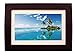 Sylvania SDPF1089 10-Inch LED Multimedia Wood Finished Digital Photo Frame with Remote Control and 2 GB Built in Memory (Brown) (Renewed)