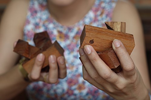 Galactic: Handmade & Organic 3D Brain Teaser Wooden Puzzle for Adults from SiamMandalay with Free SM Gift Box(Pictured)