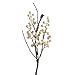 Factory Direct Craft Group of 6 Artificial Twig and Cream Berry Picks