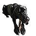 Craving Canine Grade A USA Deer Antlers for Dogs! Odorless, Split Resistant Horns for Aggressive Chewers! Long Lasting & Easy to Digest Antler Full of Glucosamine for Healthy Joints! 1 lbs (XLarge)